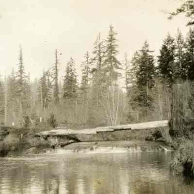 Barnett Album - Log Bridge across Milk Creek
