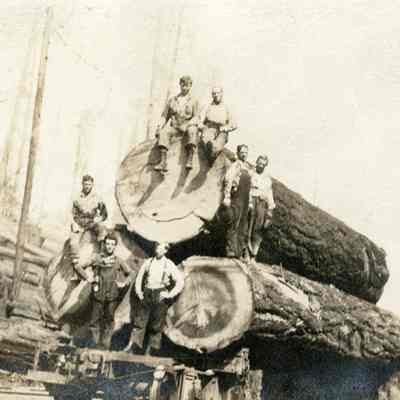 Group of Men Standing of Railroad Card with Three Logs