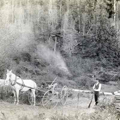 Burns Family Collection - Horse, buggy and Man with Rifle