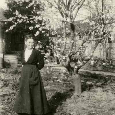 Palmateer, Anna (Davis)