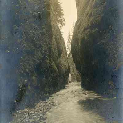 Oneonta Gorge, Columbia River Gorge, Oregon.