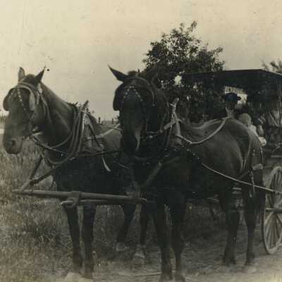 Buggy with two horses