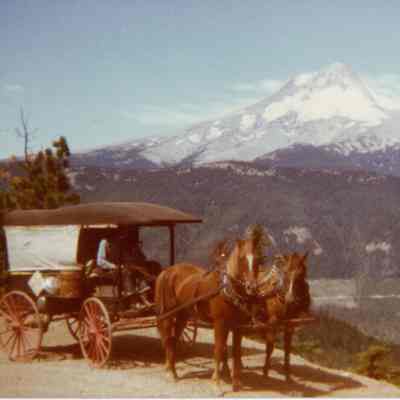 Wagon and Horses with Mt. Hood in Background - Old Portland Carriage Co.