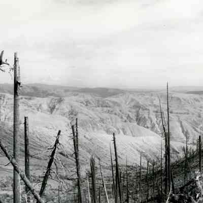 Mt. St. Helens 1982