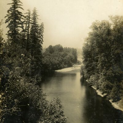 Clackamas River and Forest