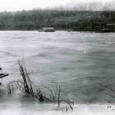 1890 Flood - Willamette Falls
