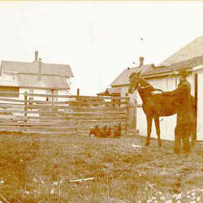 Man with horse