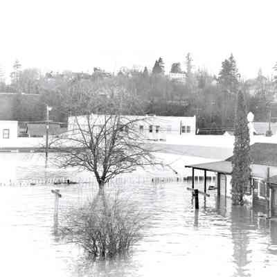 1964 Flood - Green Point Area North of 15th Street - Oregon City
