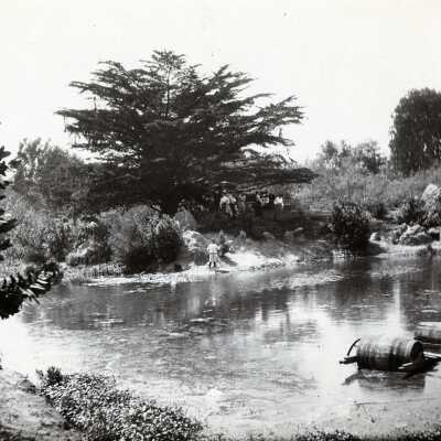 Group picnic at swimming hole