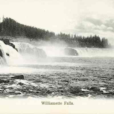 Willamette Falls 1900