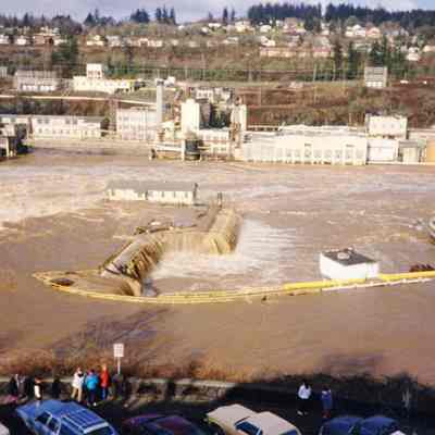 1996 Flood - Willamette Falls - Oregon City