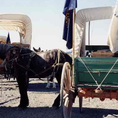 Oregon Trail Reenactment 1993 - Sesquicentennial Celebration