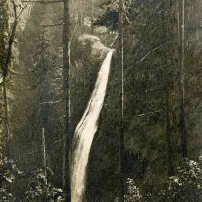 Clackamas River Waterfall 1914