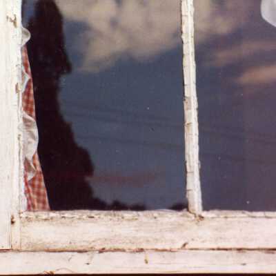 Viola School Windows