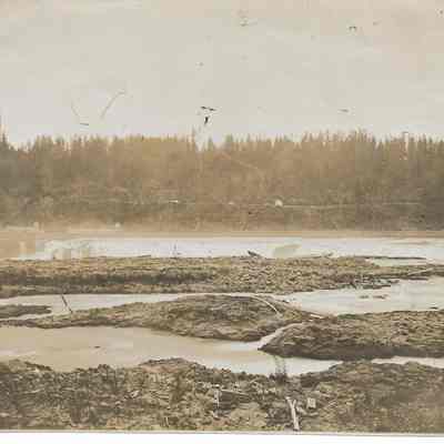 Willamette Falls