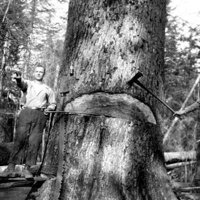 Logging - Springboards and Axes