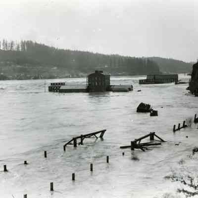 1891 Flood - Willamette Falls