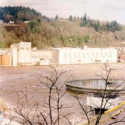 1996 Flood - Willamette River looking at West Linn Mill