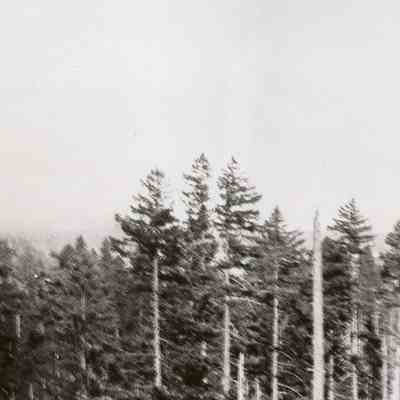 Highland Butte Peg-Tree III
