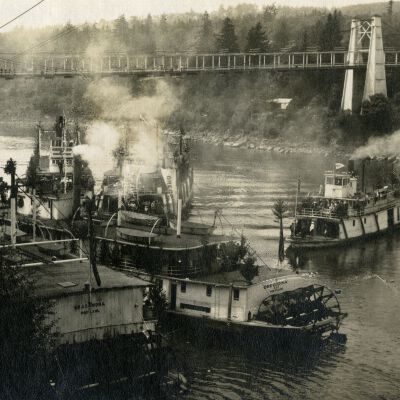 Steamboats "Oregona" and "Grahamona" with 2 others 1896 - 8th Street Dock Oregon City