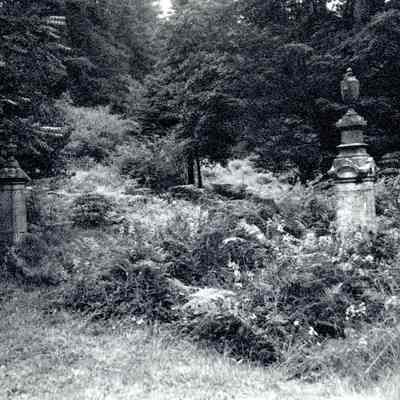 Canemah Cemetery Graves