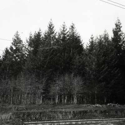 Willamette Valley Southern Railroad tracks