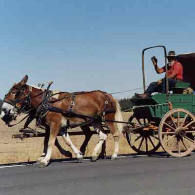 Oregon Trail Reenactment 1993 - Sesquicentennial Celebration