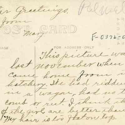 Back of P-9018-1 Postcard