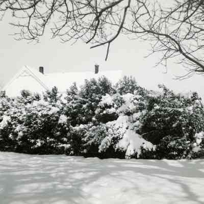 Britton House