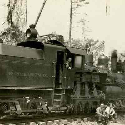 Locomotive Engine of the Big Creek Logging Company