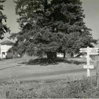 Whiskey Hill School -1949 - Near Hubbard, Oregon