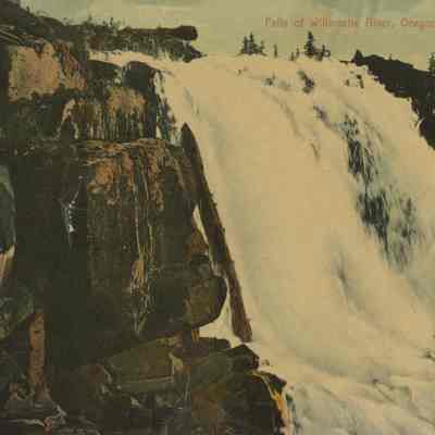 Willamette Falls Post Card