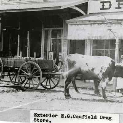 Oregon City 1886 - E. G. Caufield Drug Store