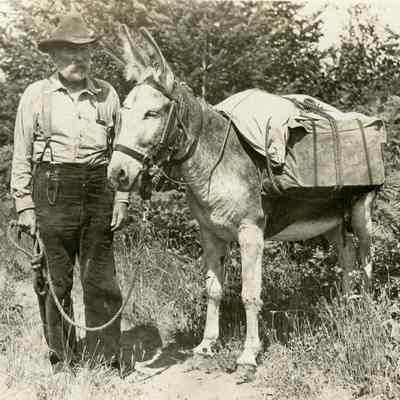 Davis, Joe and Judy (mule)