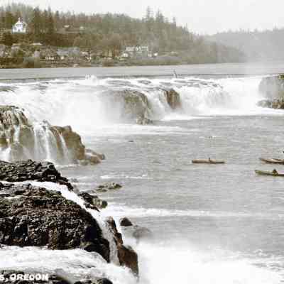 Willamette Falls Salmon Fishing