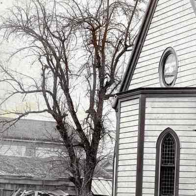 Oregon City 1892 - The Famous Apple Tree, (Methodist Apple Tree), 7th & Main