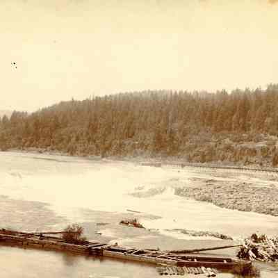Willamette Falls 1889