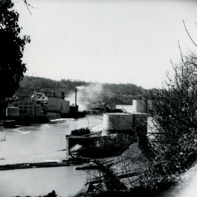Willamette River from 99E Lookout - Looking down river toward West Linn mills