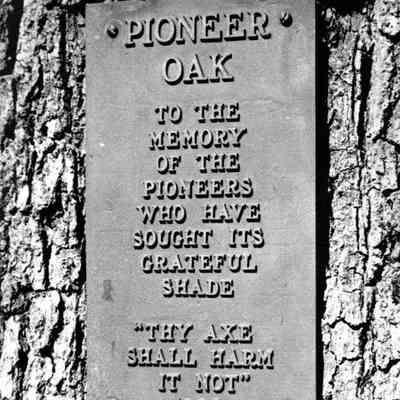 Oregon City - Pioneer Oak Plaque at Mountain View Cemetery