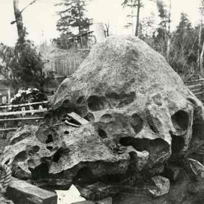 Willamette Meteorite 1903
