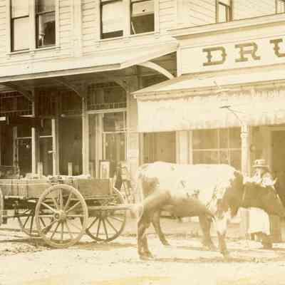 Oregon City 1886 - E. G. Caufield Drug Store