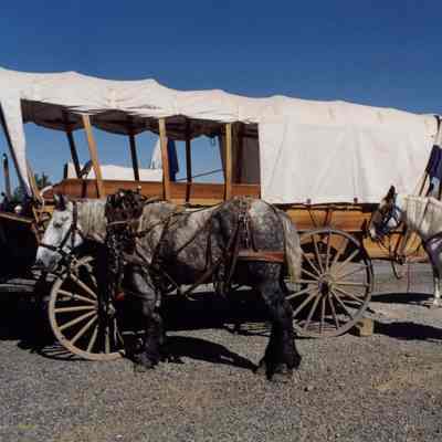 Oregon Trail Reenactment 1993 - Sesquicentennial Celebration