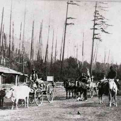 Barlow-Foster Toll Gate at Rhododendron, Oregon 1872
