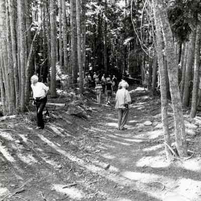 Trail - Possibly the Barlow Trail