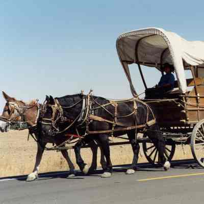 Oregon Trail Reenactment 1993 - Sesquicentennial Celebration