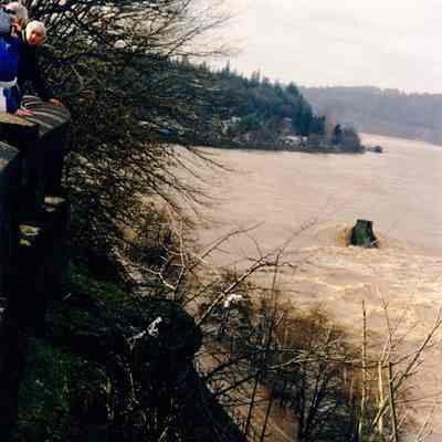 1996 Flood - Willamette River Above Falls