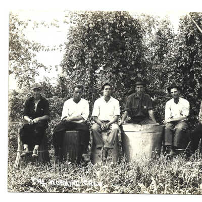Photographic Postcard "The Working Crew" at the hop yard