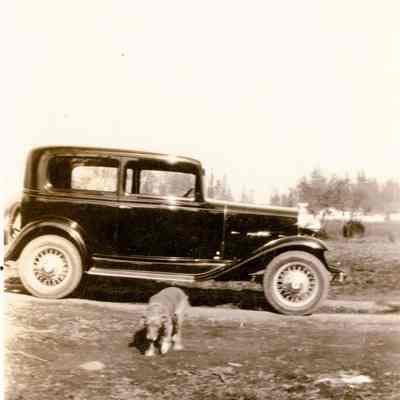 Krause Family Car and Dog