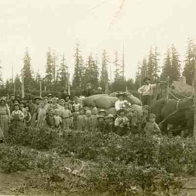 Macksburg 1909 - Novak's Hop Yard