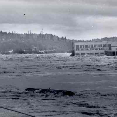1964 Flood - Flood and Mills